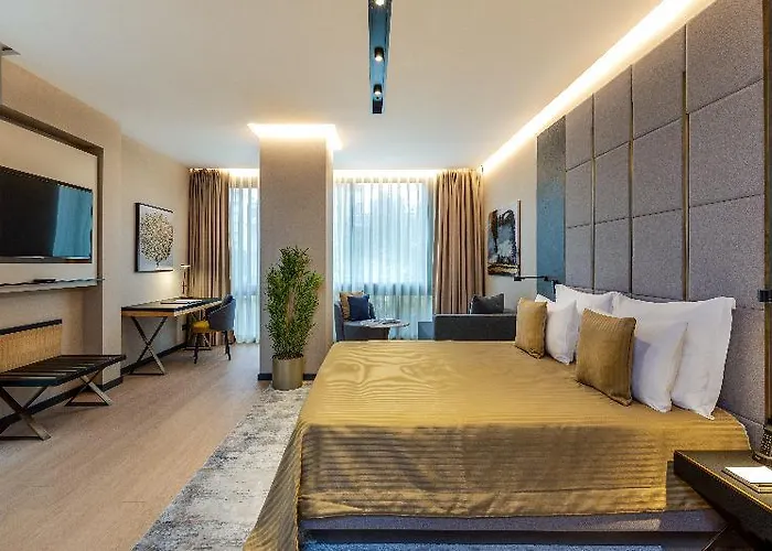 Broyt اسطنبول