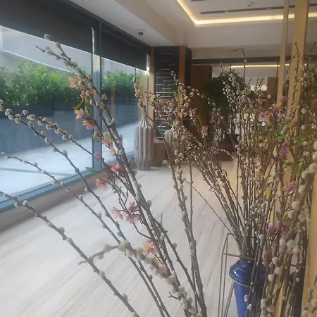 Broyt Hotel 4*